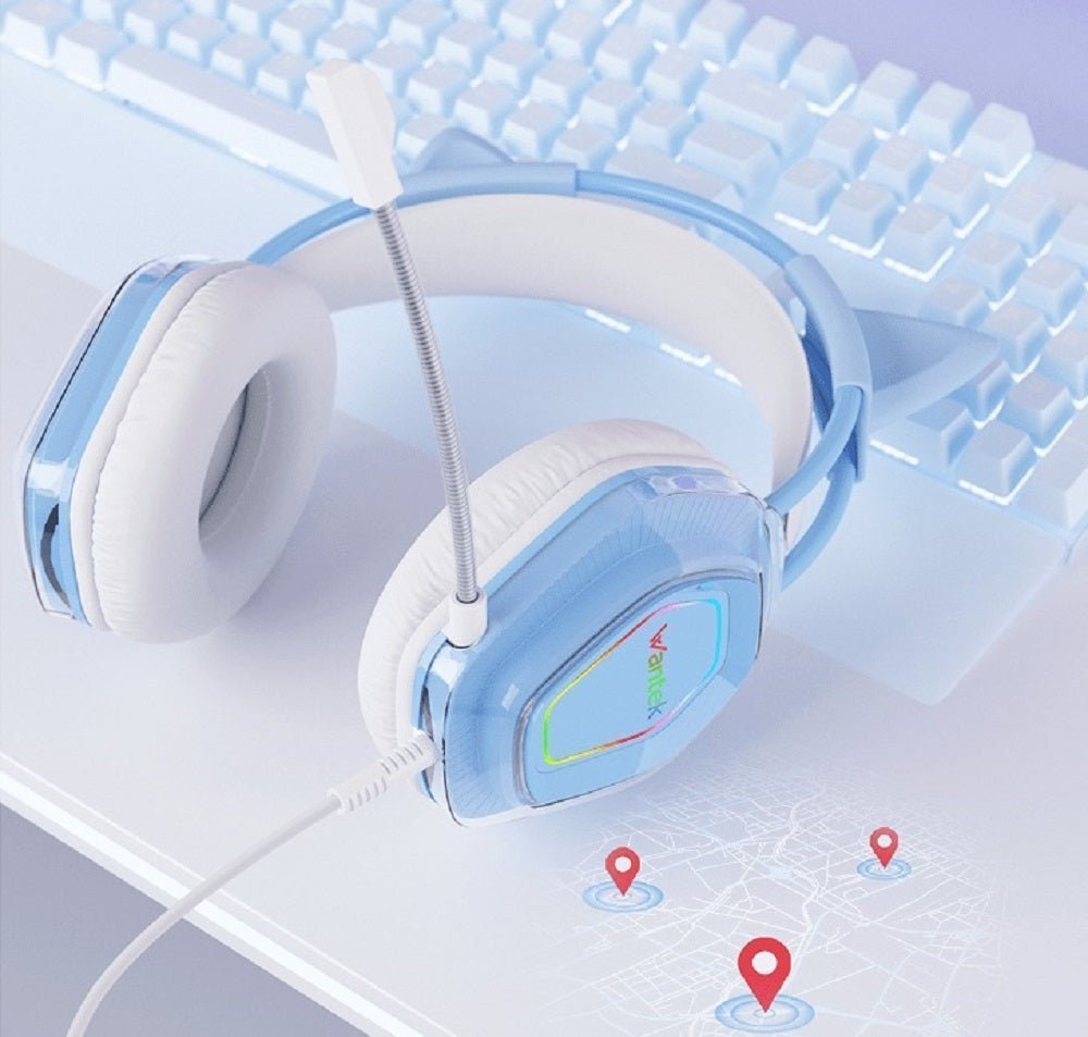blue headphones