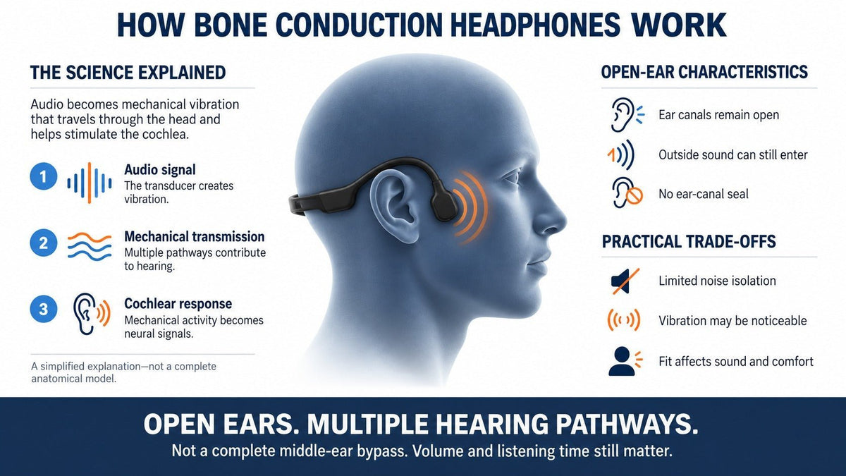 How bone conduction headphones work vibrations help stimulate the cochlea while the open-ear design leaves ear canals unobstructed