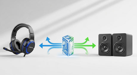 headset to microphone